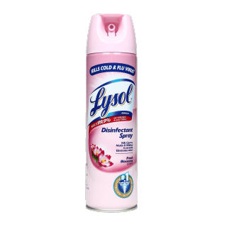 Disinfectant-Sprays-Fresh-Blossom-170g.png