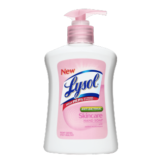 Hand Wash Skincare 225ml.png